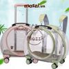 Vali kéo hình bàn chân trong suốt 43x26x40cm cho chó mèo