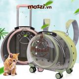  Vali kéo hình bàn chân trong suốt 43x26x40cm cho chó mèo 