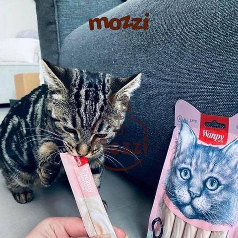  Súp thưởng cho mèo Wanpy gói 5 thanh đủ vị 