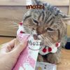 Súp thưởng Aatas Cat 16gr date tháng 5/2024 cho mèo