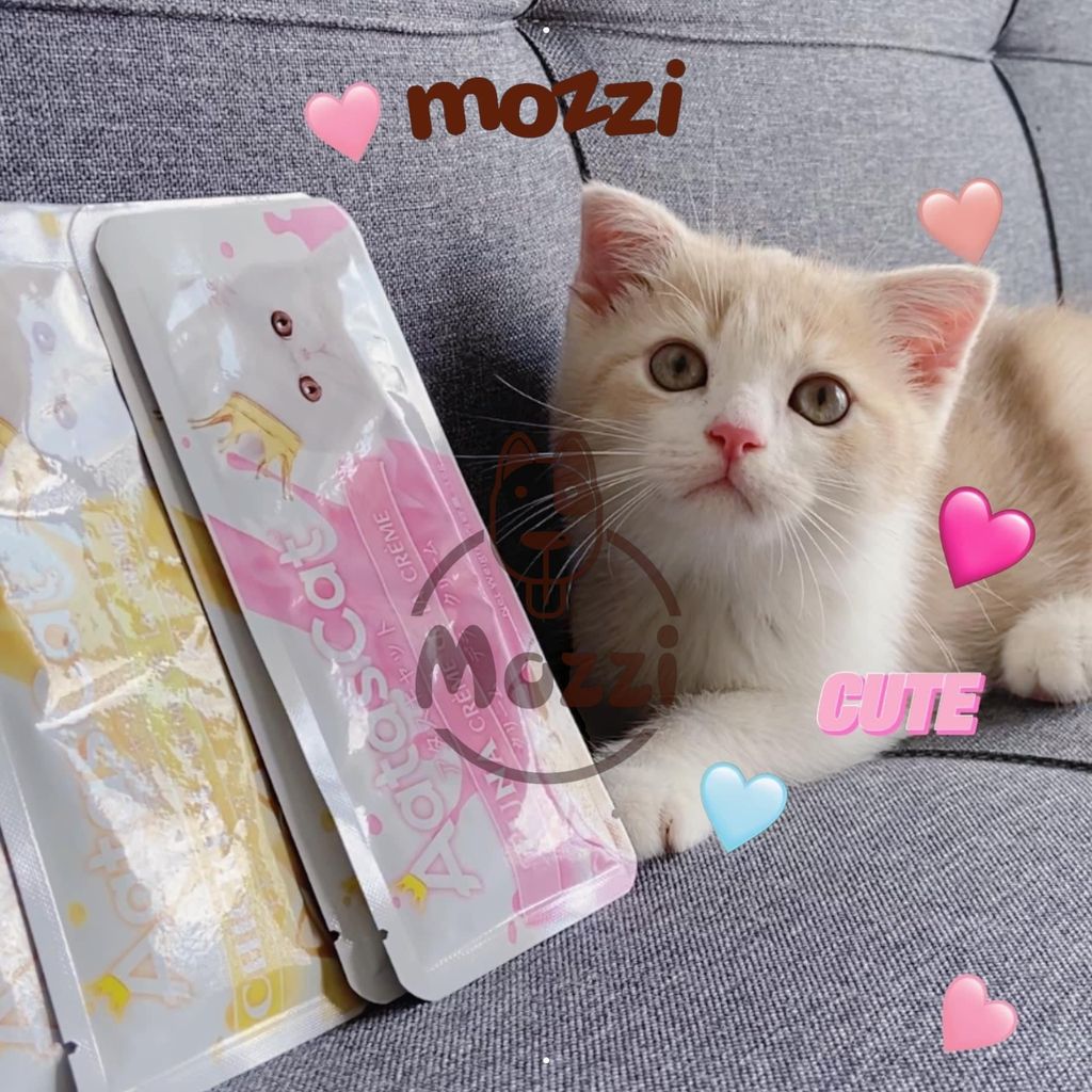 Súp thưởng Aatas Cat 16gr date tháng 5/2024 cho mèo