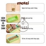  Bộ Kit trồng cỏ catnip thủy canh kèm hạt giống cho mèo 