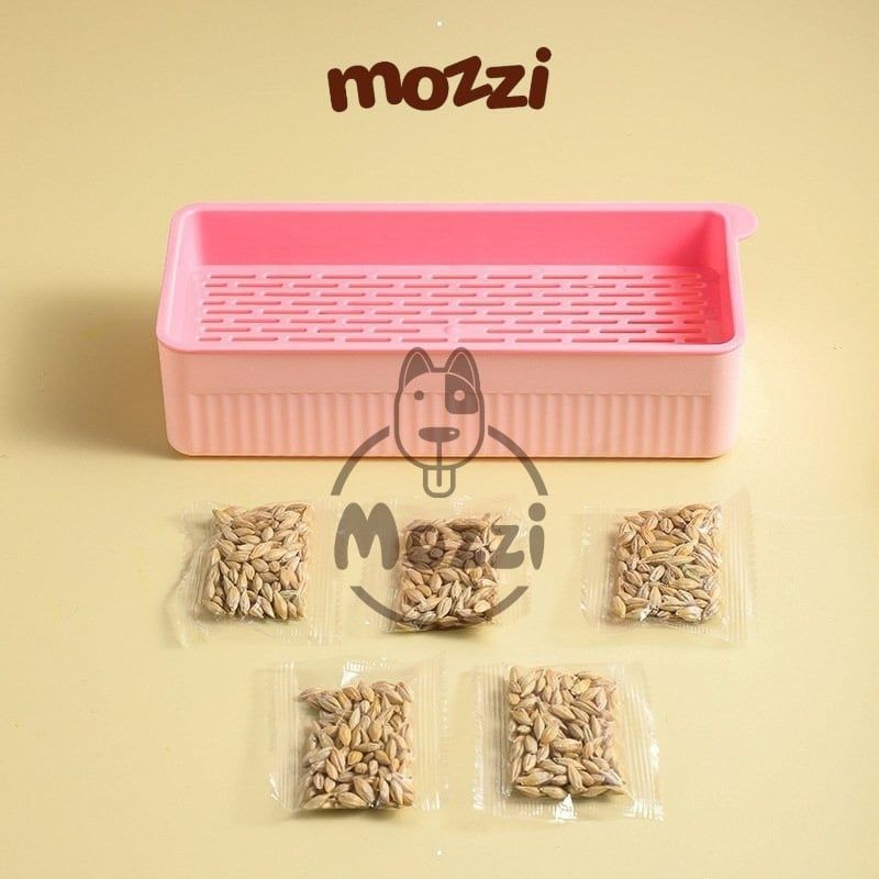 Bộ Kit trồng cỏ catnip thủy canh kèm hạt giống cho mèo