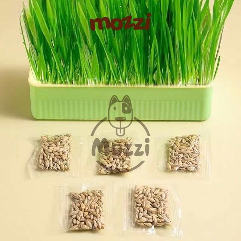 Bộ Kit trồng cỏ catnip thủy canh kèm hạt giống cho mèo