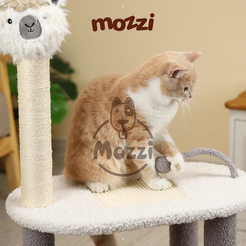 Cat Tree - Trụ mèo cào Lạc đà