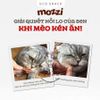 Snack cho mèo Thịt gà Phô mai Cá ngừ thái lát Natural Core 40gr