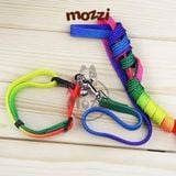  Dây dắt bảy màu kèm vòng cổ cho chó mèo 
