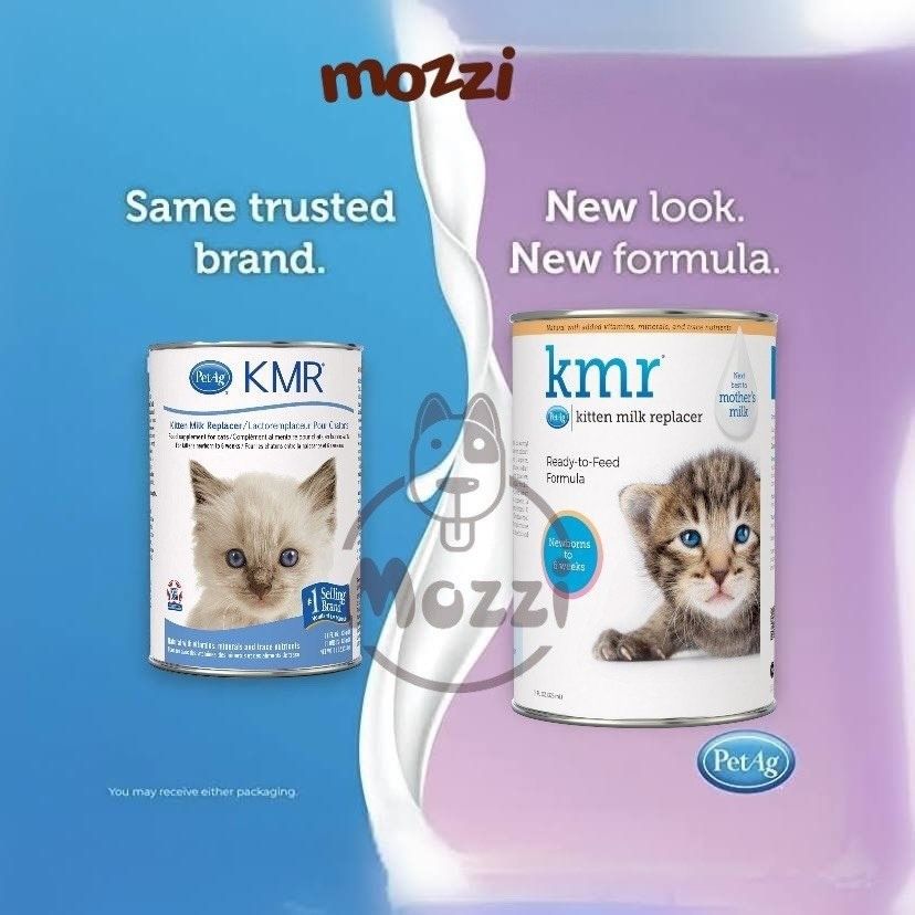Sữa bột KMR Kitten Milk Replacer Powder PetAg Lon 170g 340g 749g cho mèo sơ sinh