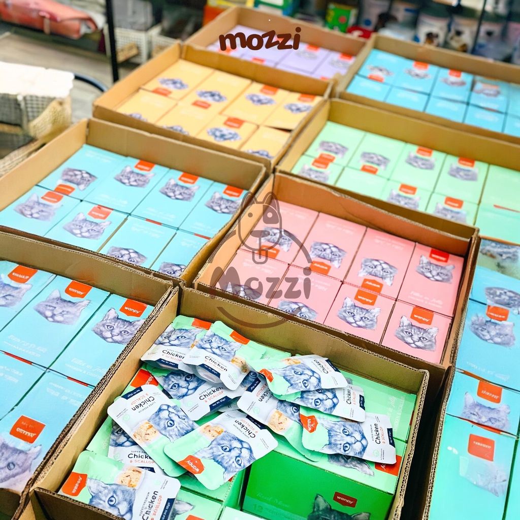 Pate cho mèo Wanpy gói 85gr