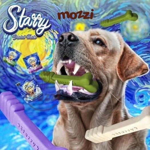 Snack cho chó Xương gặm sạch răng Starry Dental