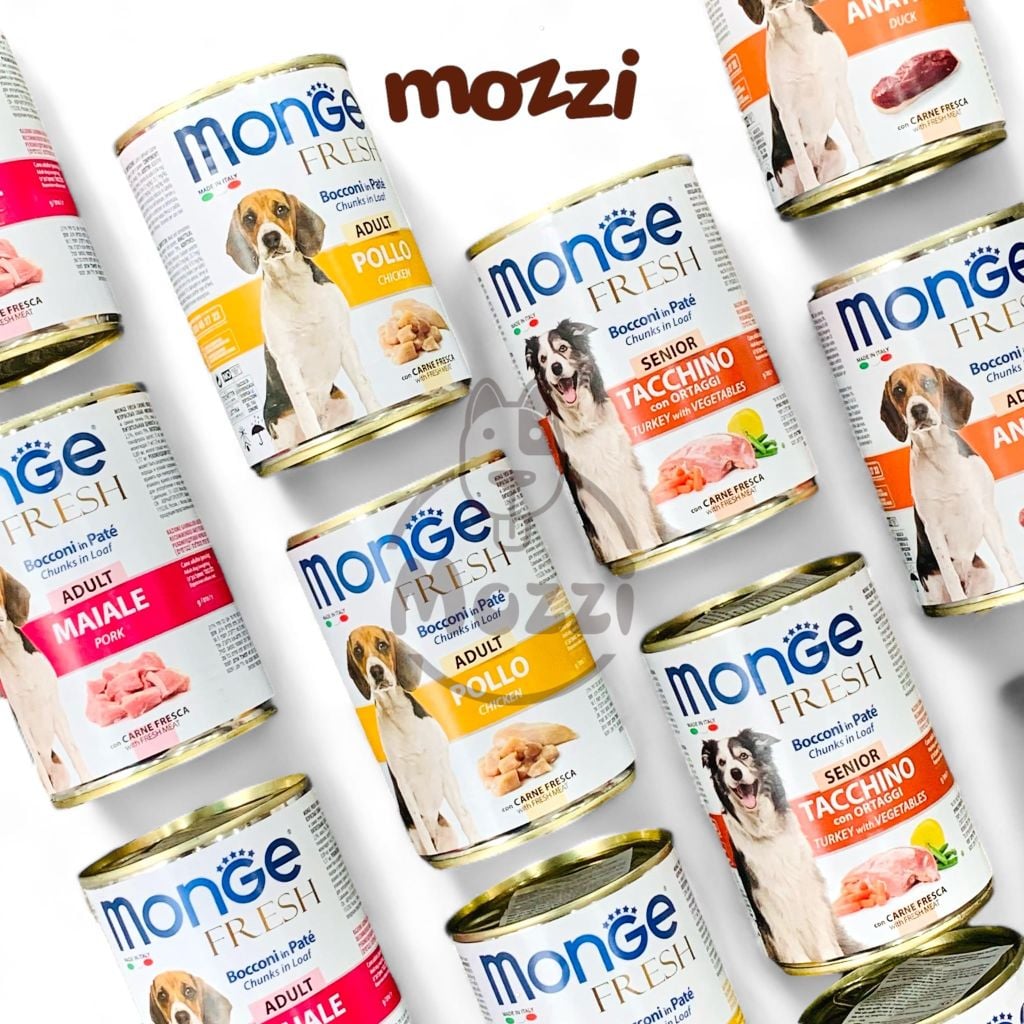 Pate cho chó Monge Lon 400gr