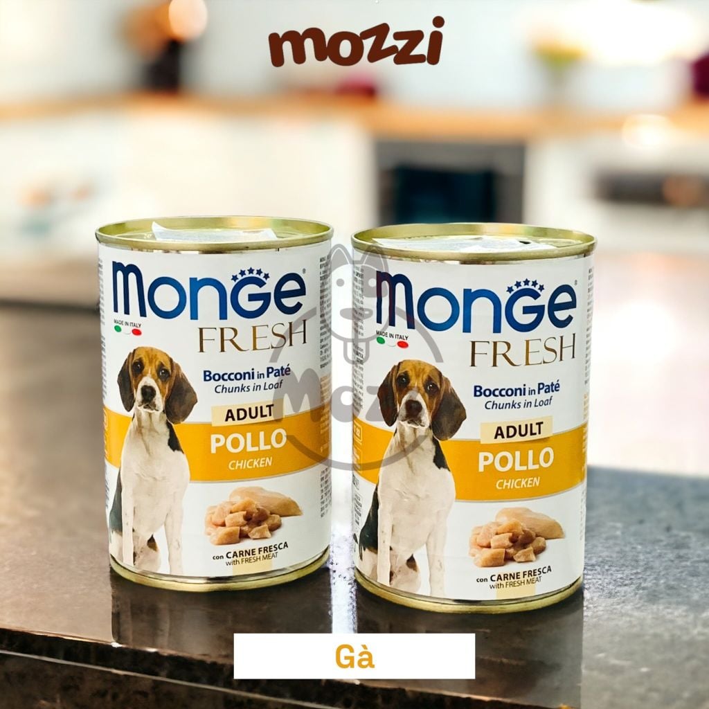 Pate cho chó Monge Lon 400gr