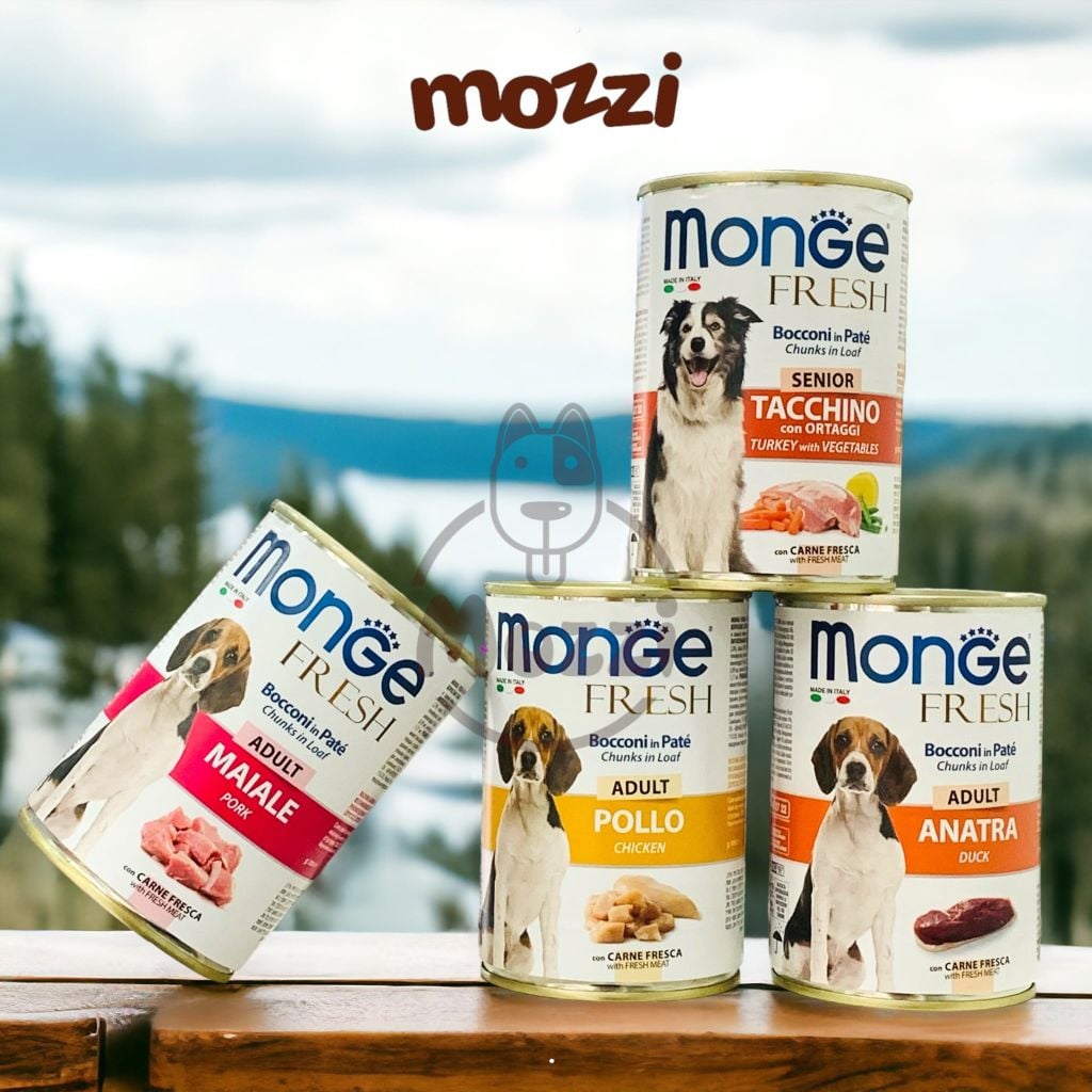 Pate cho chó Monge Lon 400gr