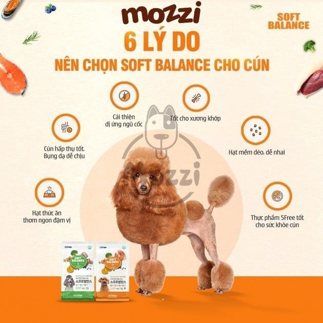 Thức ăn hạt mềm chức năng Soft Balance cho chó [100g - 1.2kg]