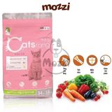  Thức ăn hạt Catsrang Kitten cho mèo con [400g - 1.5kg - 2kg] 