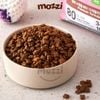 Thức ăn hạt Catsrang Kitten cho mèo con [400g - 1.5kg - 2kg]