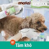  Tắm khô Tropiclean Hương tươi mát dạng bọt cho chó mèo Chai 220ml 