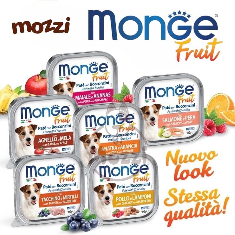 Pate cho chó Monge mix trái cây Hộp 100gr