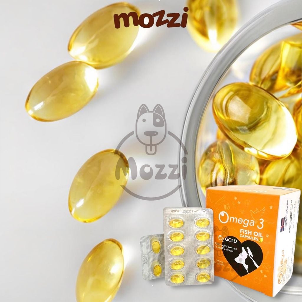 Viên dầu cá dưỡng da lông Omega3 Fish Oil cho chó mèo Hộp 10 vỉ