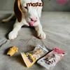 Snack cho chó Crocgy Cá sấu gặm sạch răng Thái Lan