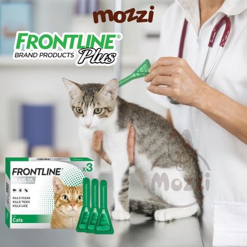  Nhỏ gáy ve rận bọ chét Frontline Plus cho mèo 