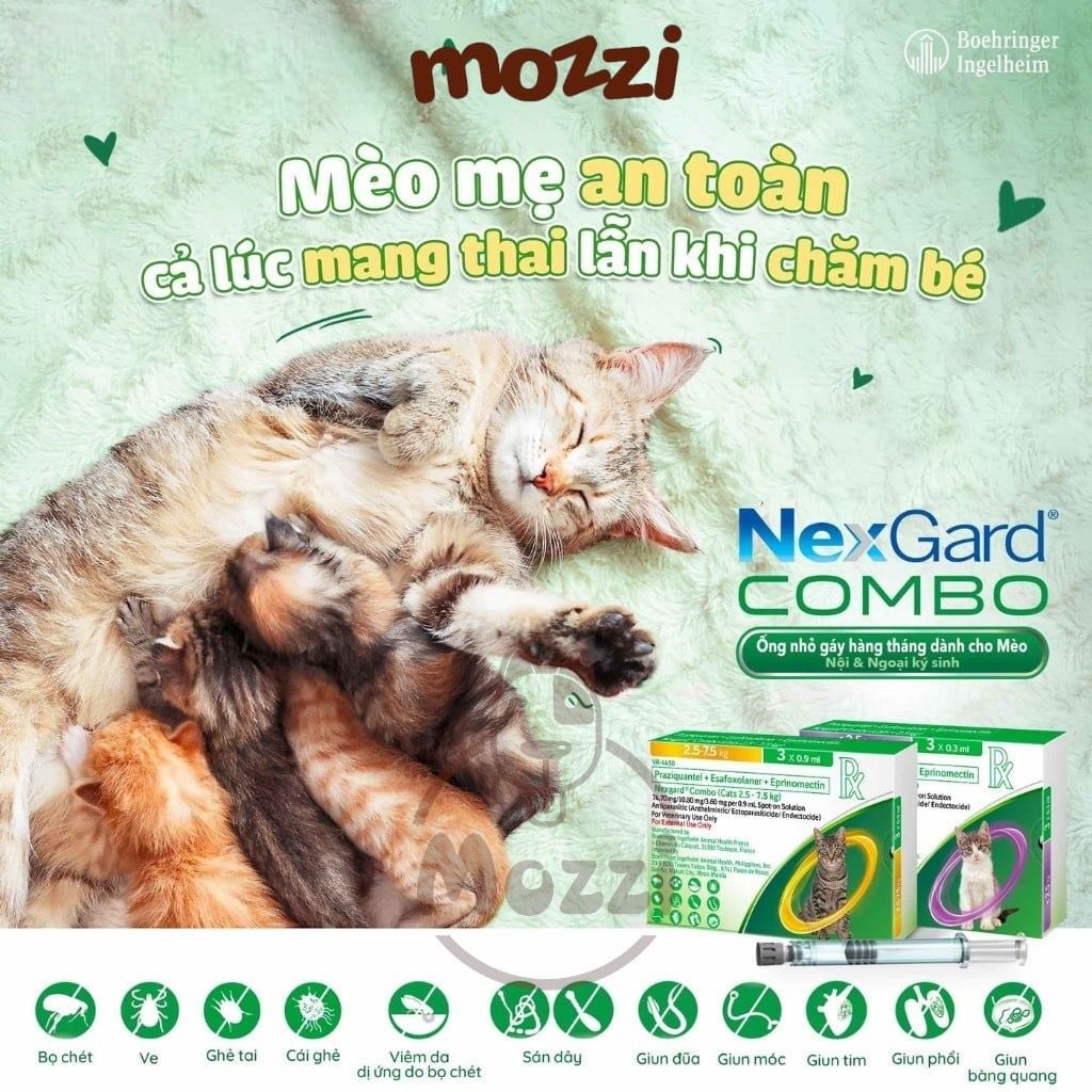 Nhỏ gáy tẩy giun ve rận bọ chét Nexgard Combo thay thế Broadline cho mèo