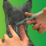  Viên nhai ve rận bọ chét và viêm da Bravecto cho chó mèo 