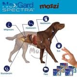  Viên nhai tẩy giun trị ve bọ chét Nexgard Spectra cho chó 