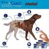 Viên nhai tẩy giun trị ve bọ chét Nexgard Spectra cho chó