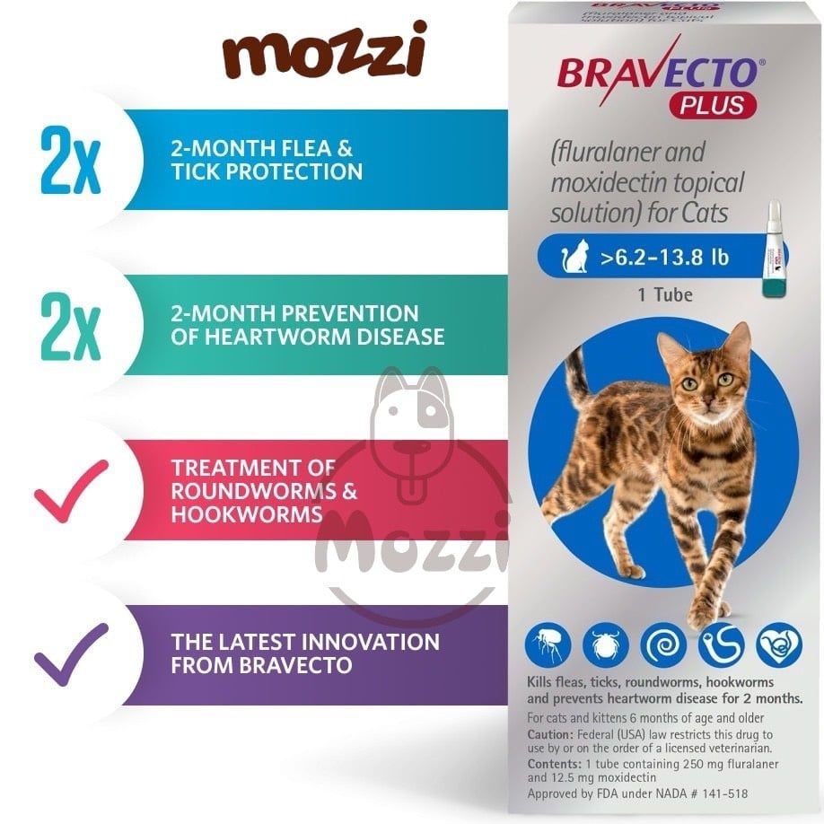 Viên nhai ve rận bọ chét và viêm da Bravecto cho chó mèo