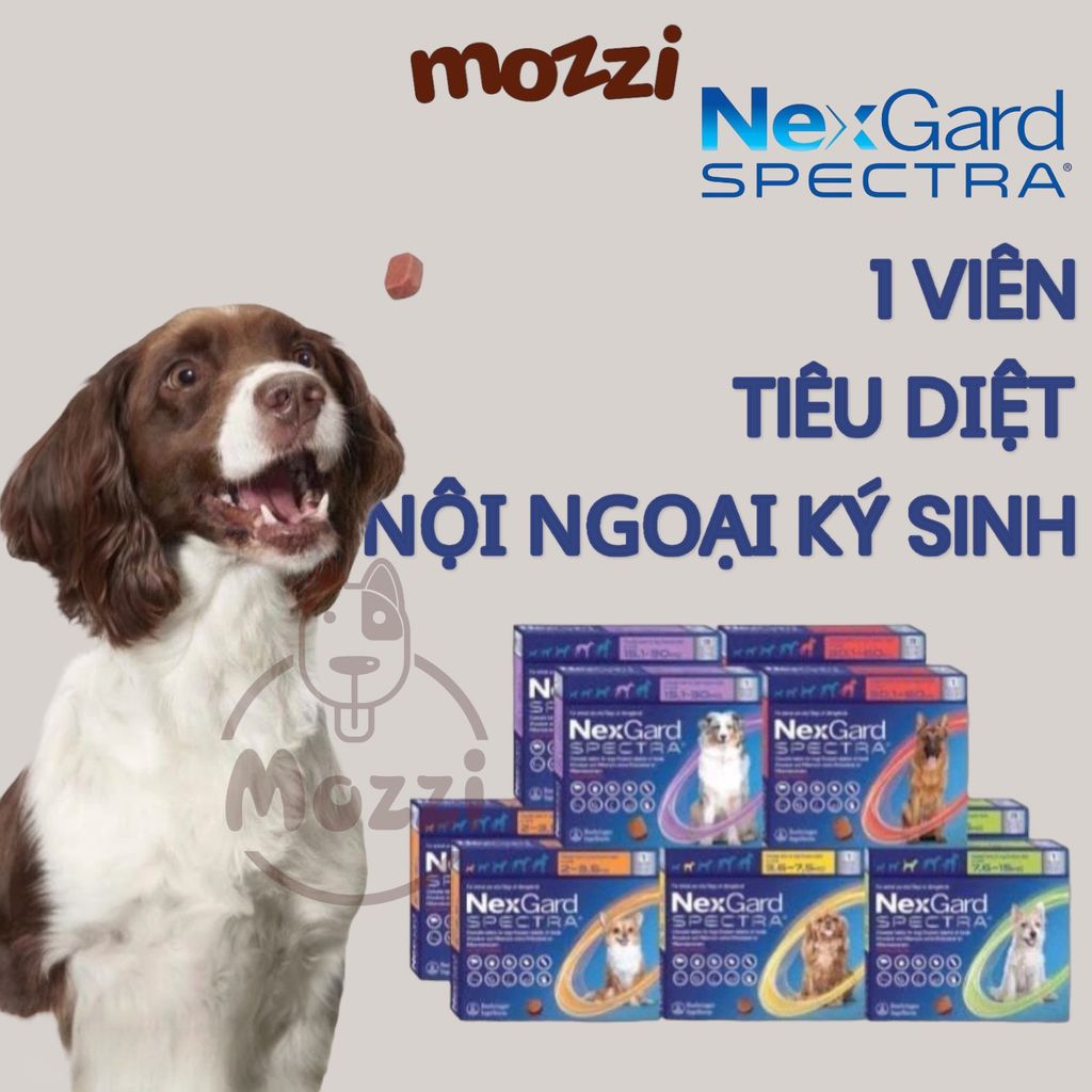 Viên nhai tẩy giun trị ve bọ chét Nexgard Spectra cho chó