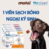  Viên nhai trị ve bọ chét Nexgard cho chó 