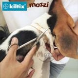  Vòng cổ phòng ngừa ve Kiltix Collar Large Bayer cho chó 