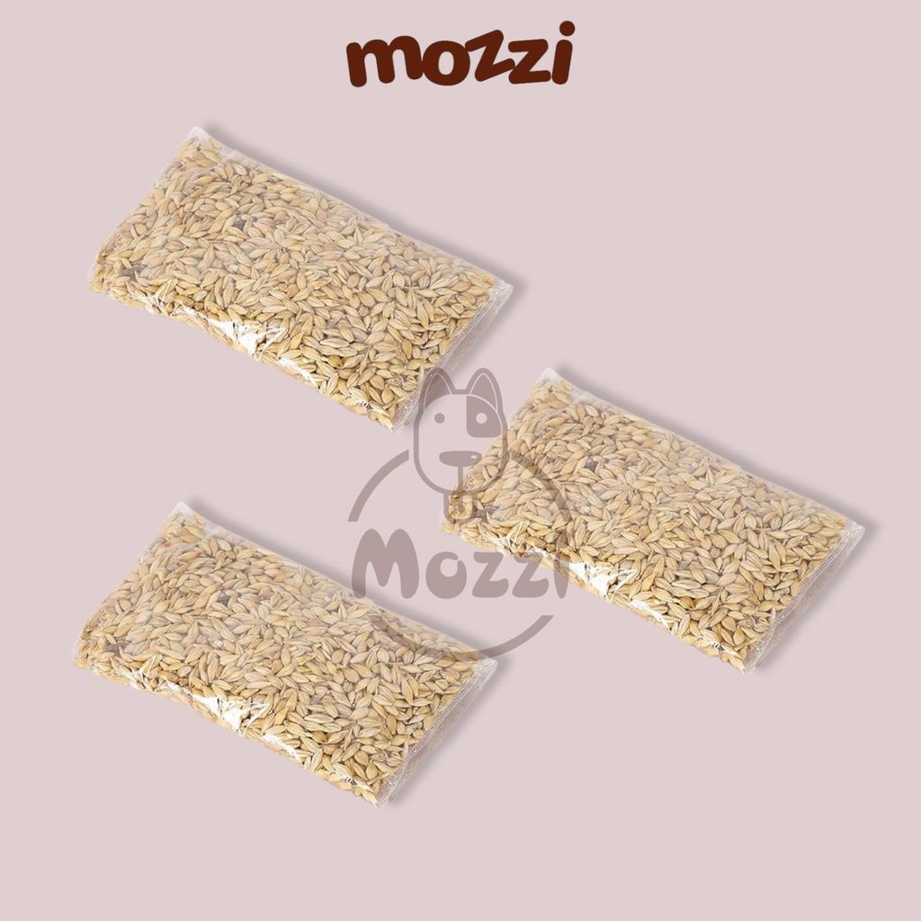 Bộ Kit trồng cỏ catnip thủy canh kèm hạt giống cho mèo