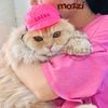 Mũ nón Bảo hiểm nhiều màu cho chó mèo