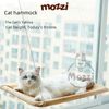 Võng treo hít kính cửa sổ cho mèo Sunny Seat Taotaopets