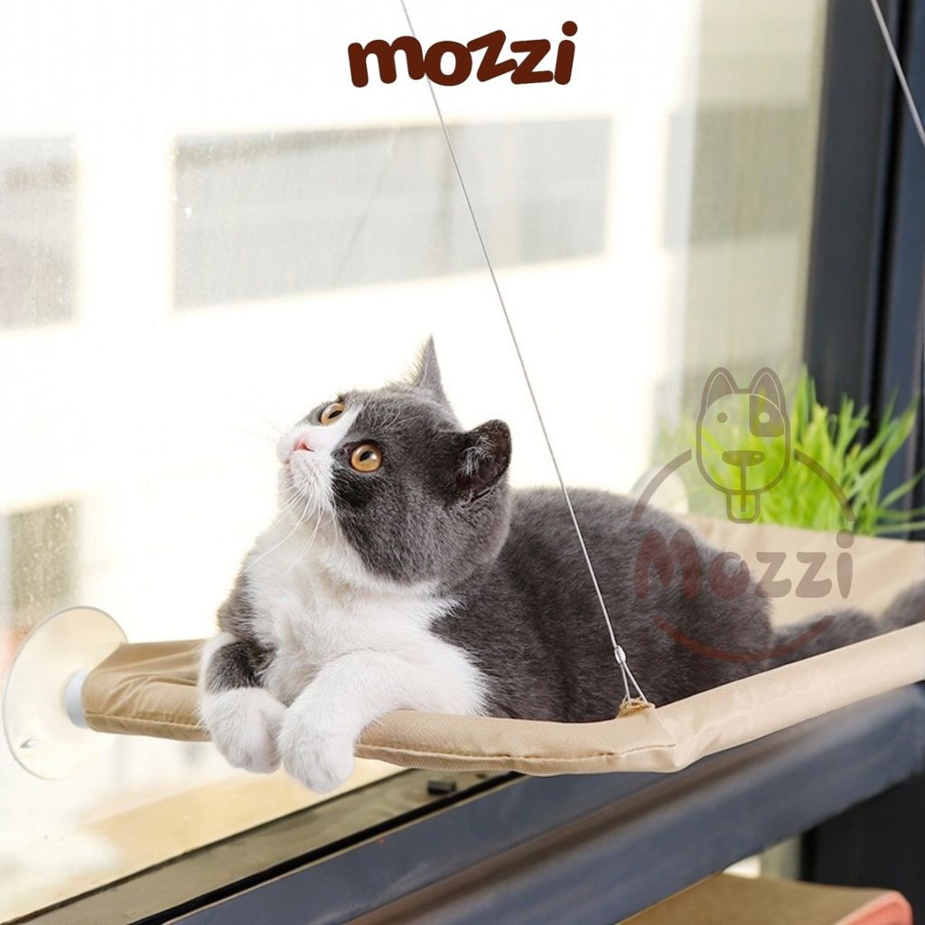 Võng treo hít kính cửa sổ cho mèo Sunny Seat Taotaopets
