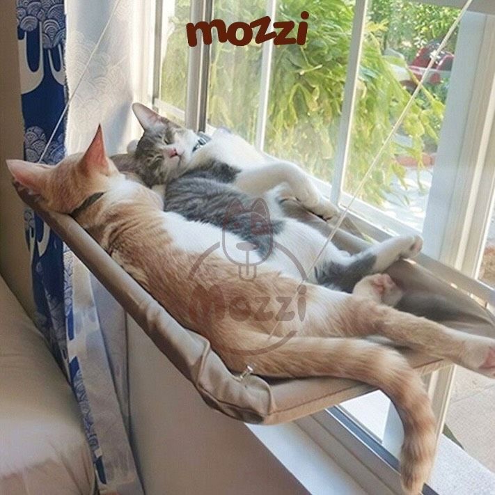 Võng treo hít kính cửa sổ cho mèo Sunny Seat Taotaopets