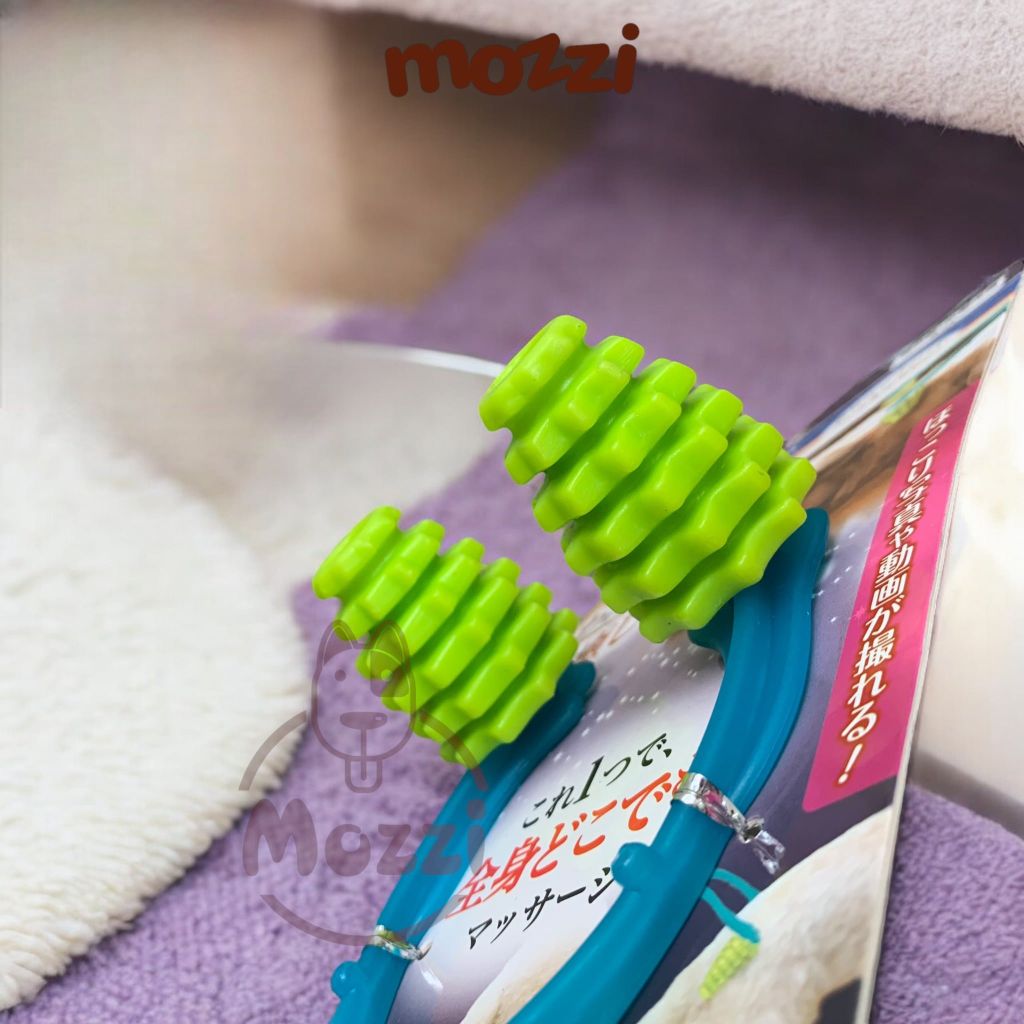 Đồ chơi Cây lăn massage cầm tay Doggyman cho chó mèo