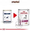 Pate cho chó Renal Royal Canin lon 410g