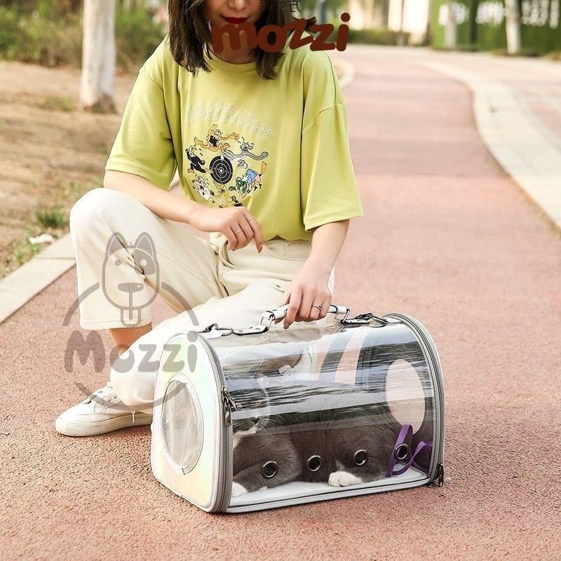 Balo Túi xách đựng trong suốt dáng cứng cho chó mèo