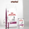 Pate cho chó Renal Royal Canin lon 410g