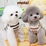  Áo sọc ngang gấu má hồng có khoen dắt cho chó mèo 