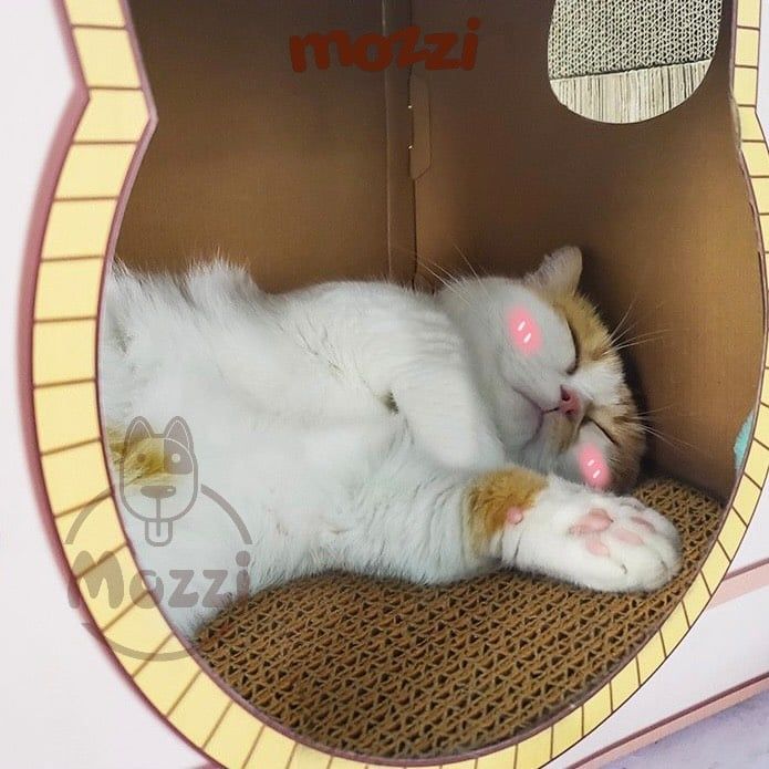 Nhà mèo cào carton Hoopet