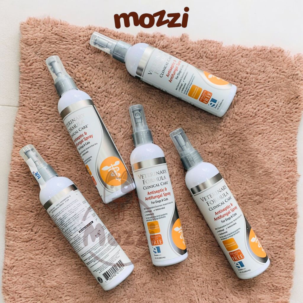 Xịt giảm ngứa nấm Antiseptic & Antifungal Spray chai 237ml