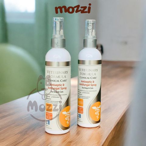  Xịt giảm ngứa nấm Antiseptic & Antifungal Spray chai 237ml 