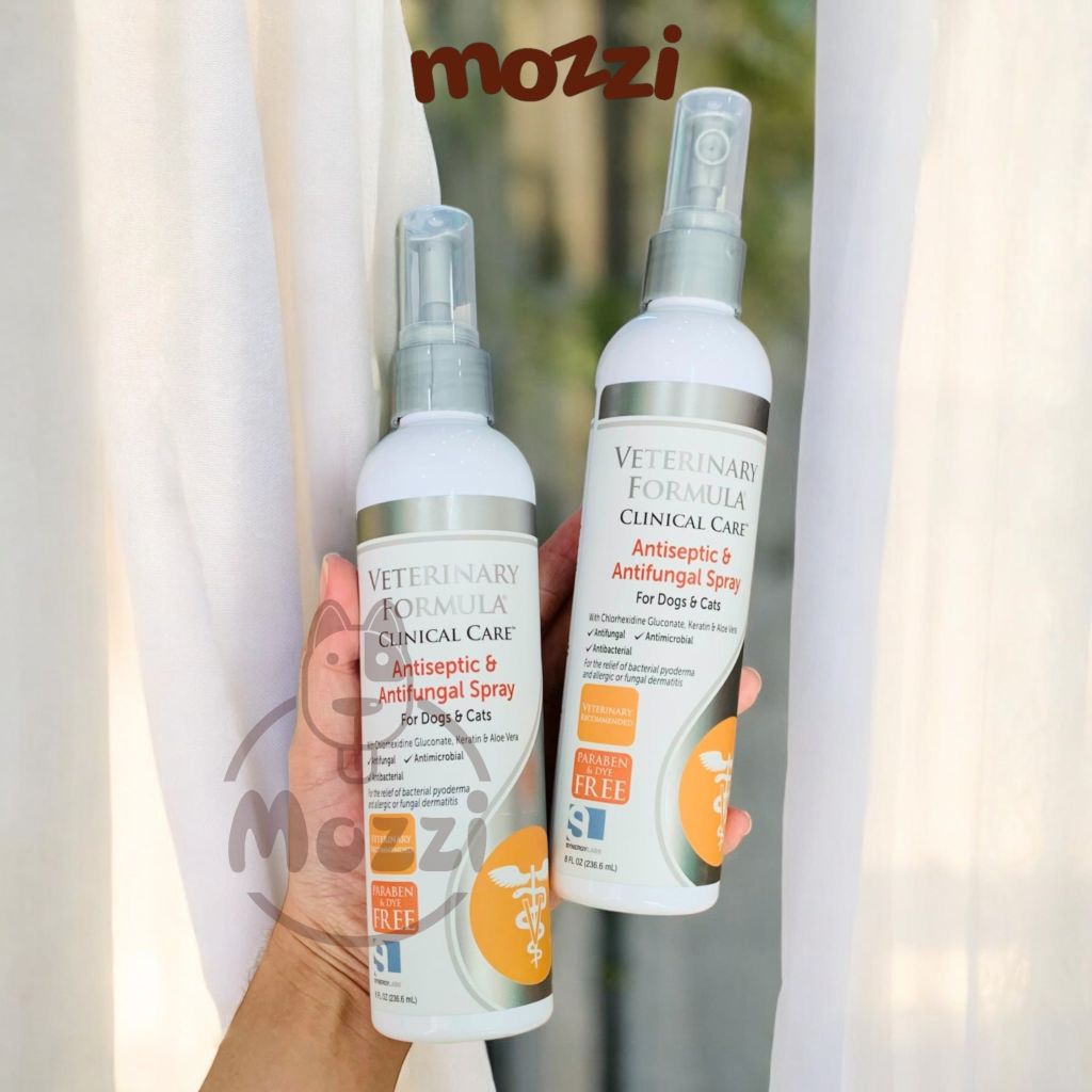 Xịt giảm ngứa nấm Antiseptic & Antifungal Spray chai 237ml