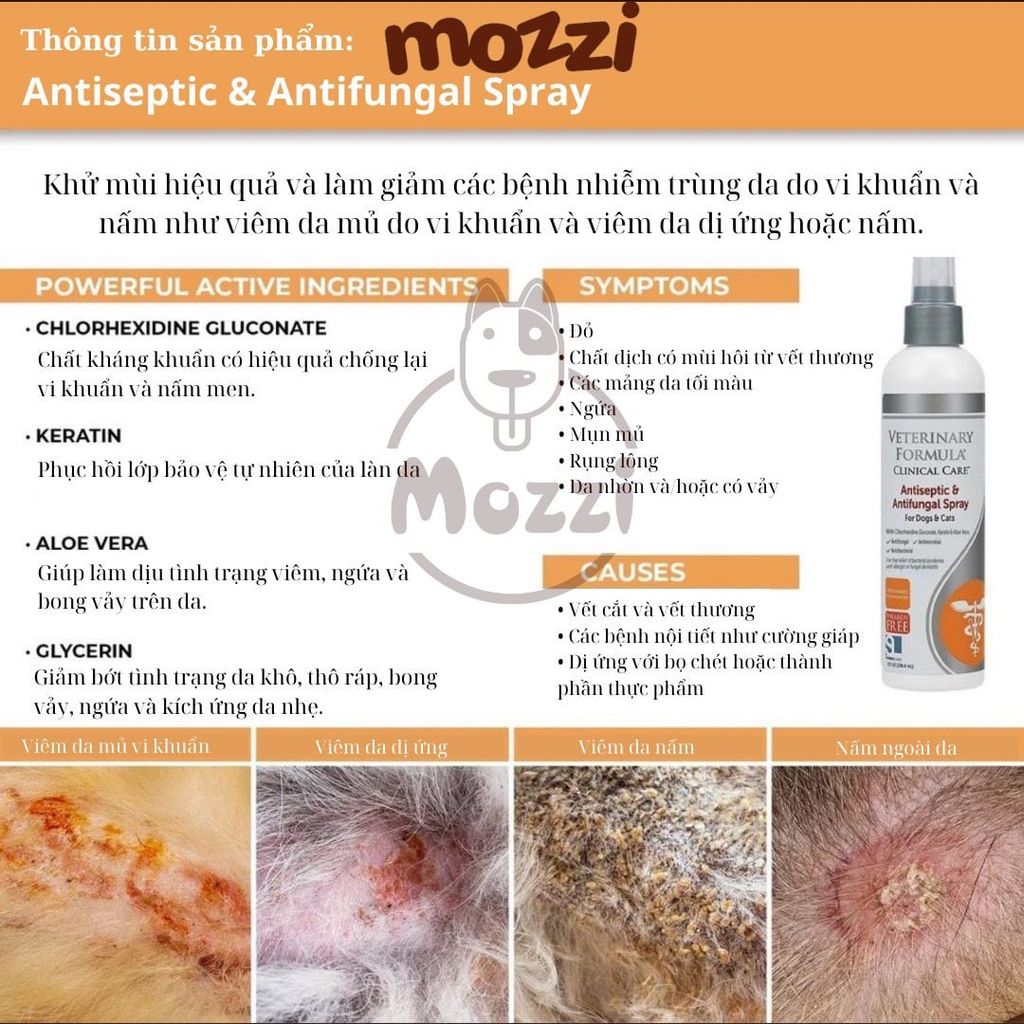 Xịt giảm ngứa nấm Antiseptic & Antifungal Spray chai 237ml