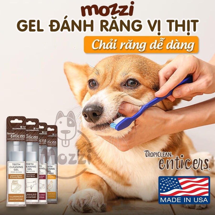 Gel vệ sinh răng miệng Tropiclean Enticers cho chó mèo