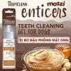 Gel vệ sinh răng miệng Tropiclean Enticers cho chó mèo
